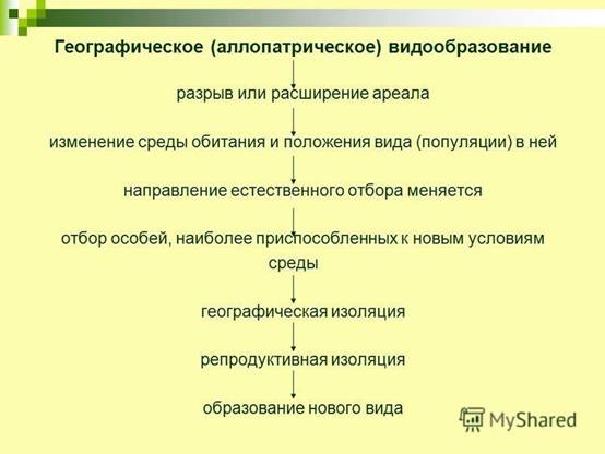 Схема аллопатрического видообразования