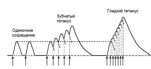 В какой графике при увеличении изображения появляется ступенчатый эффект