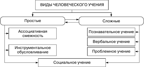 Виды учения