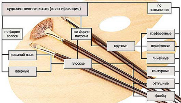 Какие художественные. Классификация художественных кистей. Строение Кисточки. Части Кисточки для рисования. Виды кистей для рисования.