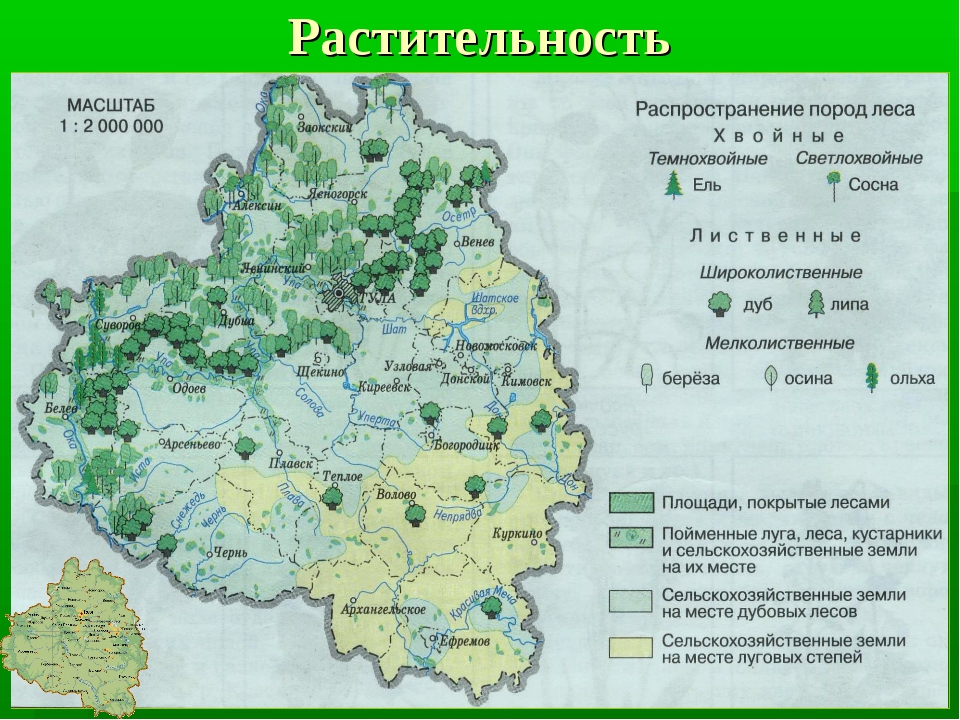 Карта осадков суворов тульская область