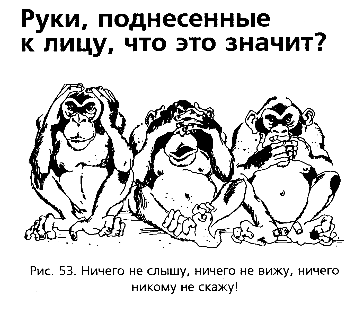 Ничего не вижу ничего не слышу ничего никому не скажу картинки прикольные