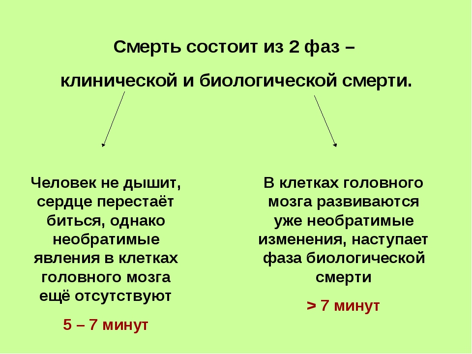 Чем отличается биологическая