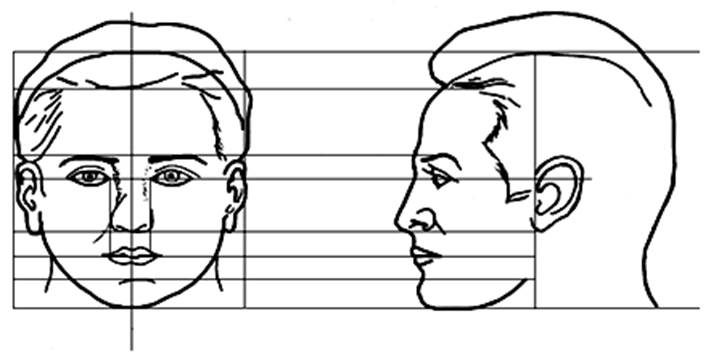Изображение головы. Пропорции головы человека анфас и профиль. Лицо в профиль и анфас рисунок. Лицо ФАС И профиль рисунок. Изо лицо в анфас.