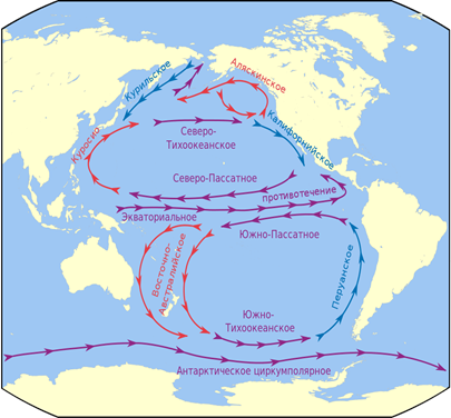 Теплые и холодные течения южной америки. Северное пассатное течение в Атлантическом океане. Южное пассатное течение в Атлантическом океане. Карта течений Атлантического океана. Схема поверхностных течений Атлантического океана.