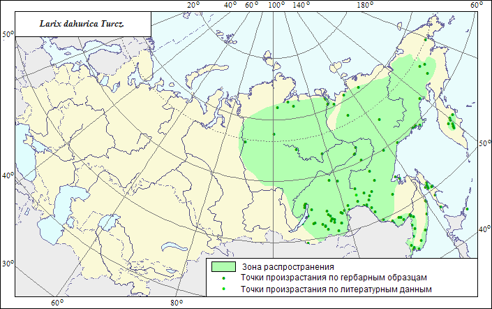 Карта произрастания березы в россии