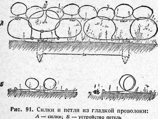 Покрытие силки. Петля на фазана из лески. Противопехотные заграждения из колючей проволоки. Силки на фазана из лески. Силки на птиц из лески.