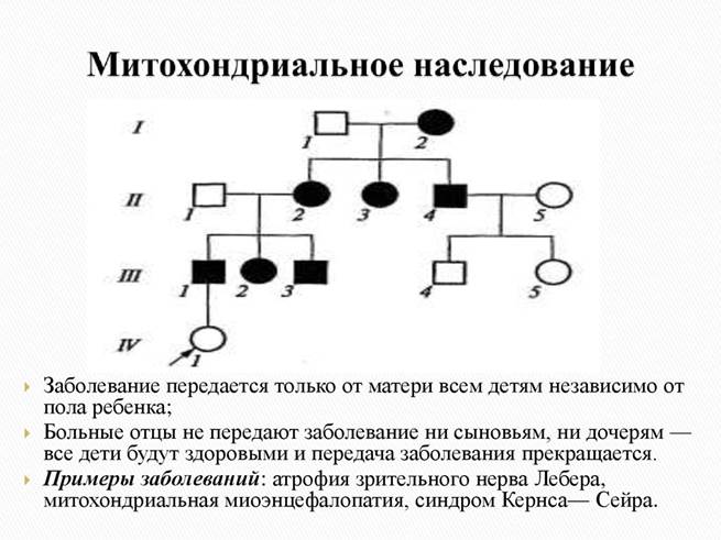 Андрогенитальный синдром фото