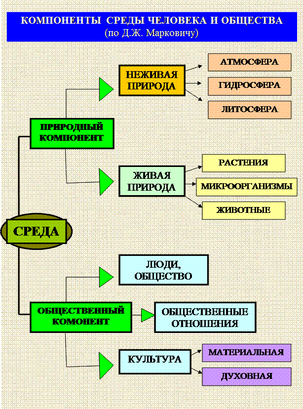 Основные компоненты окружающей среды