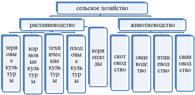 Составьте схему отраслевого состава сельского хозяйства