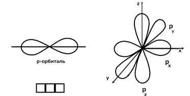 Одинаковое строение