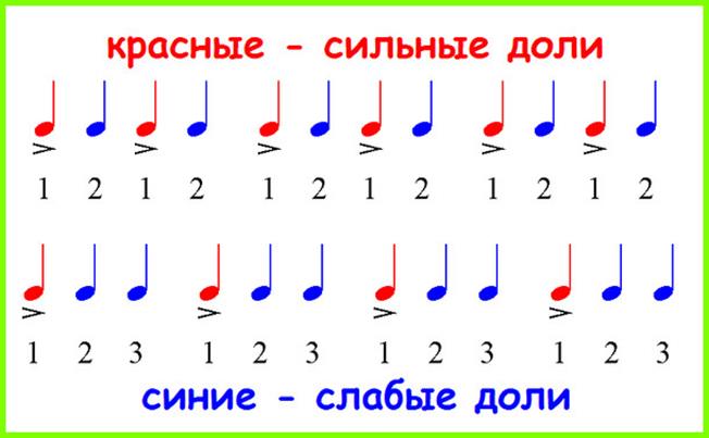 Размер три четверти. Сильные и слабые доли сольфеджио 1 класс. Сильные и слабые доли сольфеджио. Сильные и слабые доли в размере 2/4. Сильная доля и слабая доля.