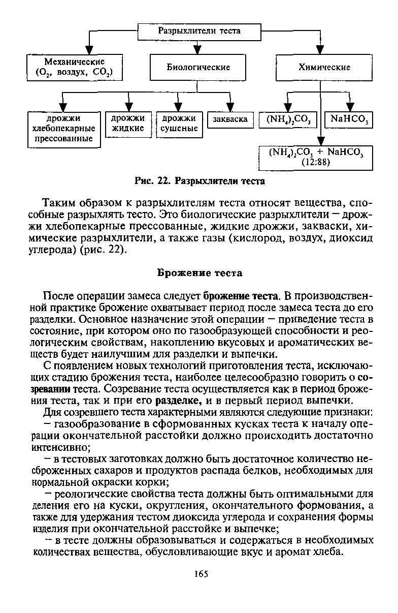 Процессы происходящие при замесе теста и его брожении