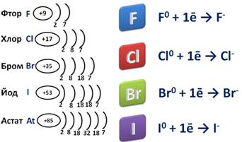 Электронная схема галогена. Выбрать электронную схему галогена. Схема атома галогена. Электронная схема галогенная.