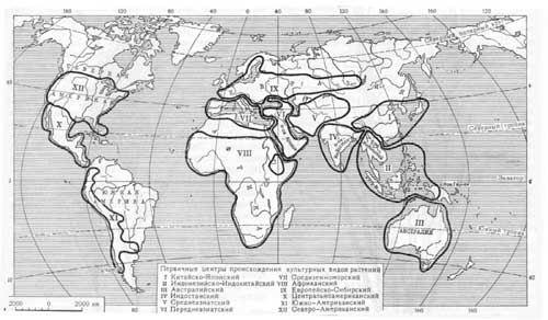 Происхождения растений карта