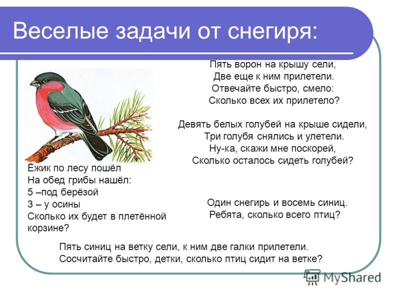 Составь вопросы по образцу проверь себя и повтори вопросы за диктором 213