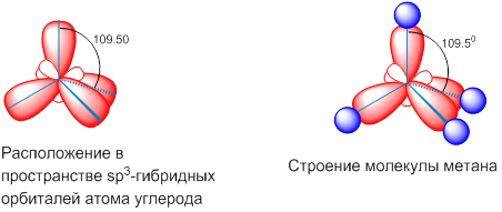 На рисунке изображена схема молекулы