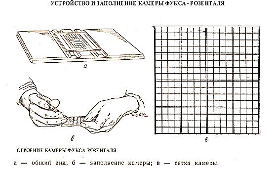 Камера горяева схема