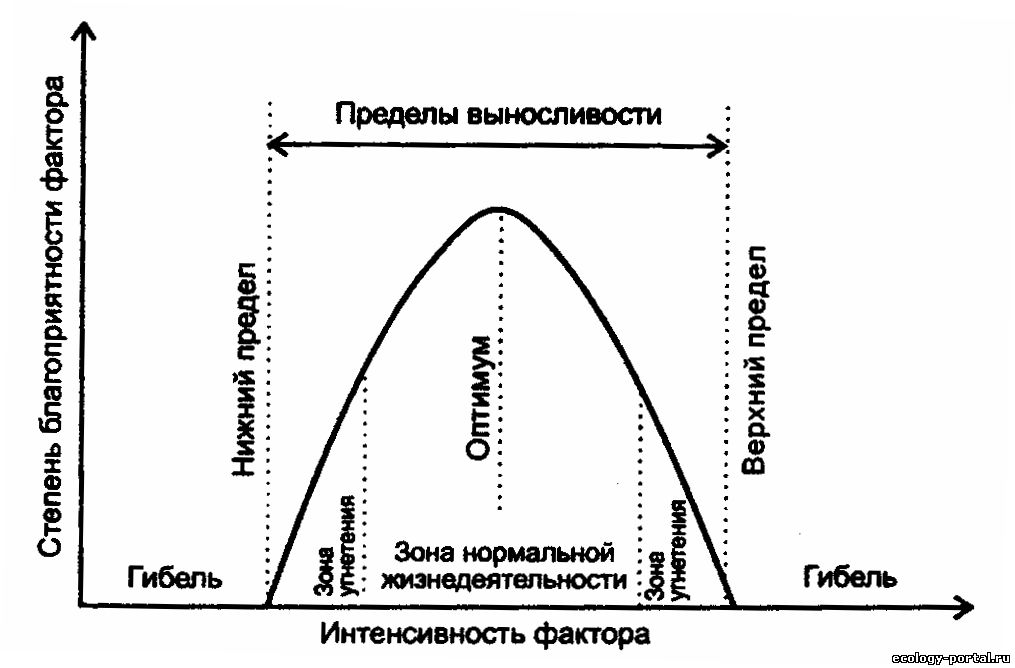 На рисунке представлены примеры факторов среды