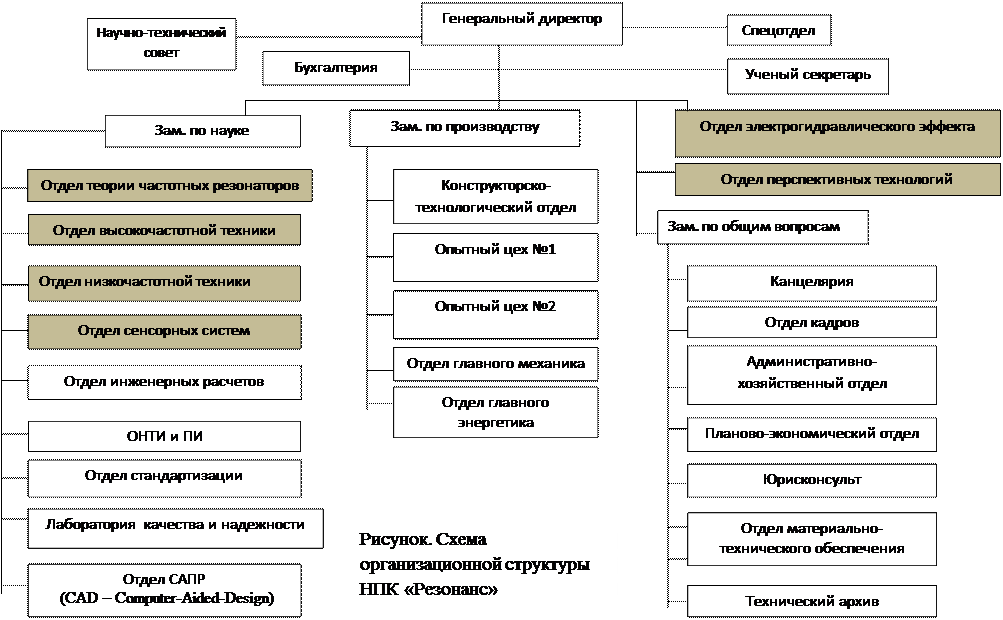 Какие подразделения есть в организации