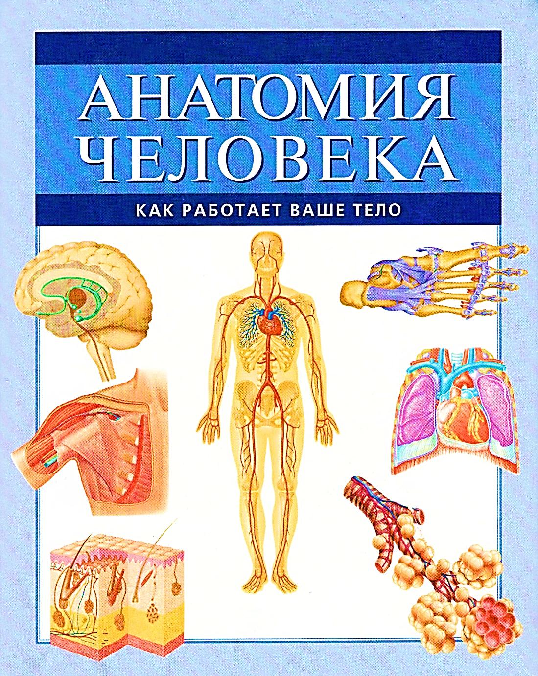 Какие книги по анатомии. Анатомия человека. Энциклопедия анатомия человека. Книга по анатомии человека. Анатомия человека книга.