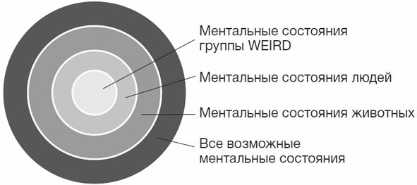 Ментальное состояние. Ментальное состояние человека это. Ментальный статус. Ментальное состояния список.