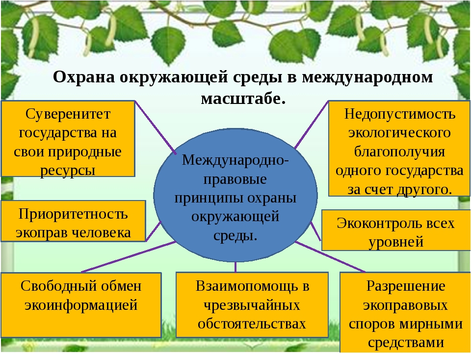 План мероприятий по охране окружающей среды на предприятии