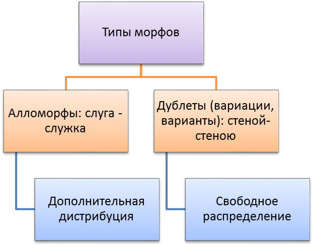 Морф определение