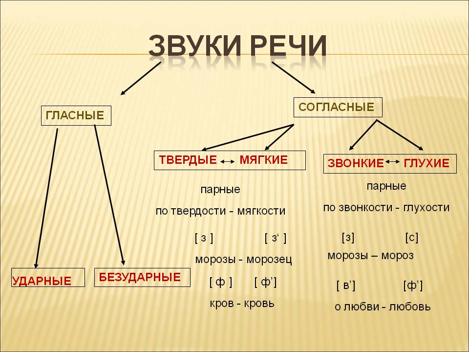 Русский язык делится на группы