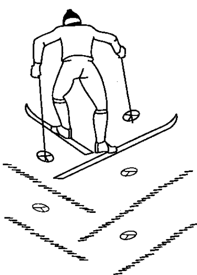 Ход елочка. Подъём ёлочкой на лыжах техника. Лыжный ход подъем елочкой. Техника подъема на лыжах в гору елочкой. Техника подъема елочкой.