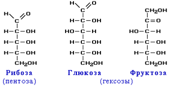 Что относится к гетерополисахаридам