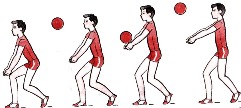Прием подачи снизу. Прием и передача мяча снизу в волейболе. Передача мяча снизу двумя руками в волейболе. Прием мяча снизу двумя руками в волейболе. Прием мяча снизу в волейболе.