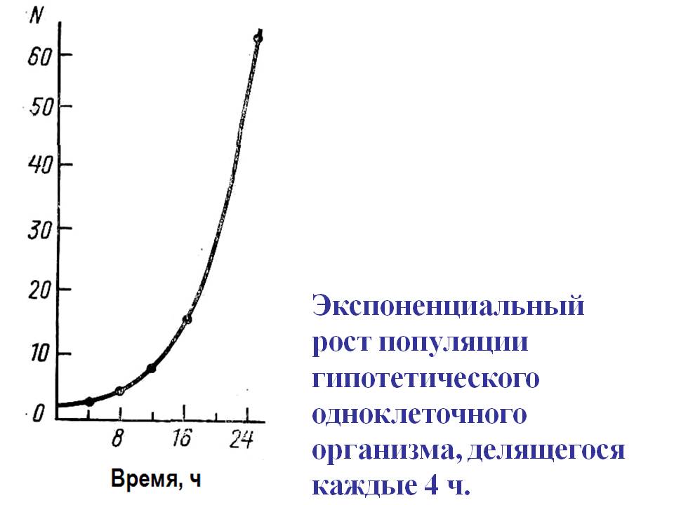 Экспоненциальный рост презентация 10 класс. Модель экспоненциального роста популяции. Экспоненциальная кривая роста популяции. График экспоненциального роста популяции. Экспоненциальный рост численности.