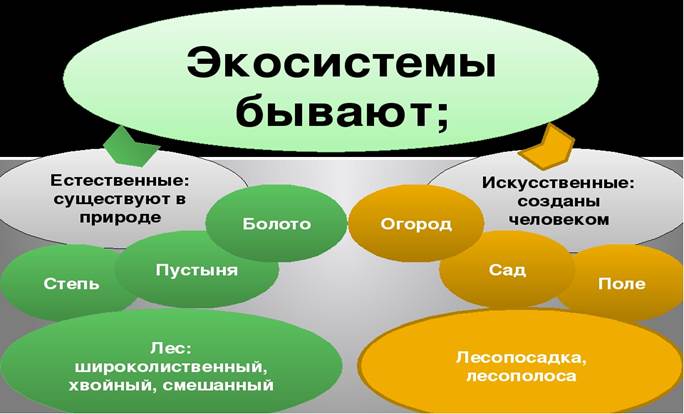 Натуральных систем. Управление агроэкосистемой.