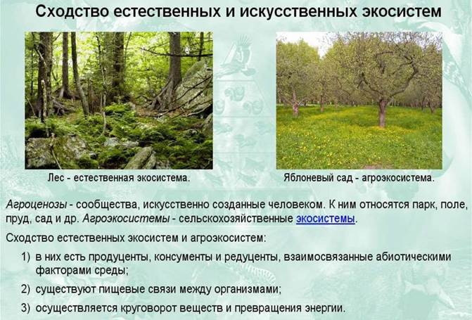 Искусственные сообщества агроэкосистемы. Искусственные сообщества агроэкосистемы роль человека в них. Агроэкосистема Краснодарского края. Источниками энергии агроэкосистем являются.