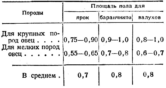 Содержание ярок. Норма площади на 1 барана. Нормы площади для выпаса овец. Нормы пастбища для овец. Норма площади для овец в овчарне.