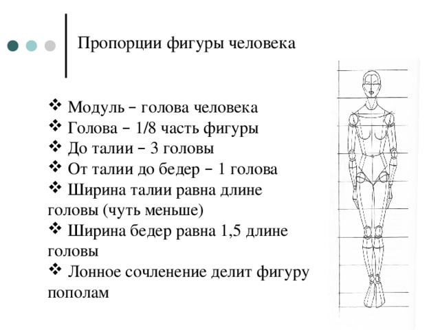 Пропорции человека схема