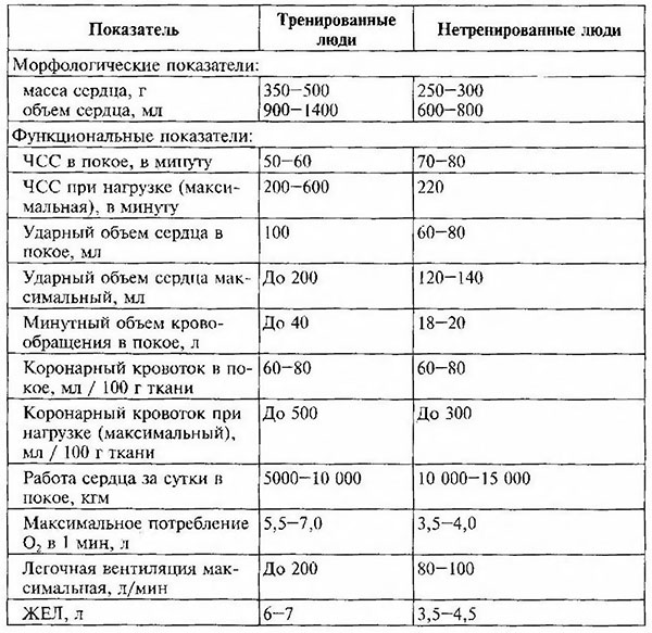 Показатели организма человека