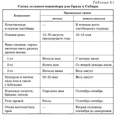 Изучение схемы зеленого конвейера