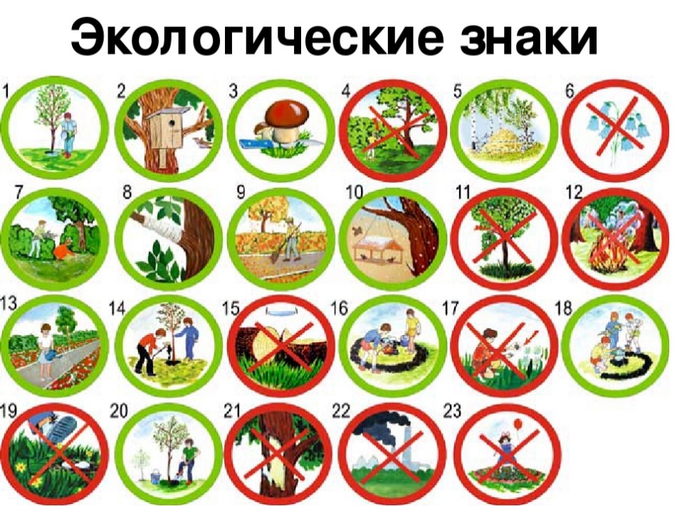 Как вести себя на природе 1 класс презентация