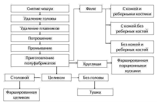 Механическая кулинарная обработка рыбы с хрящевым …