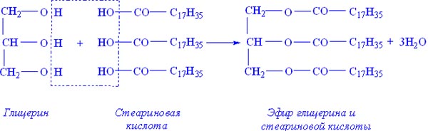 Схема образования линолеодистеарина