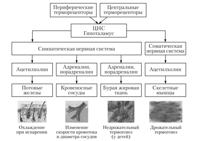 На что влияет грм