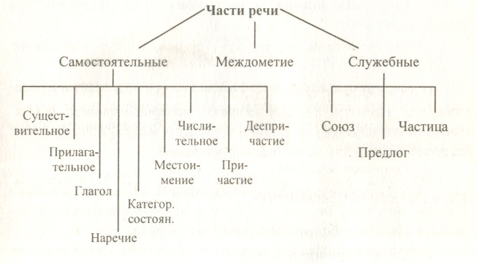 Самостоятельные и служебные части речи схема