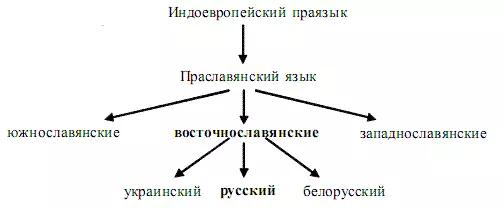 Этапы формирования русской лексики. Схема развития русского языка. Происхождение русского языка схема. Происхождение русского литературного языка схема. Хема возникновения русского языка.