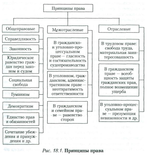 Конституционное содержание равноправия граждан в рф схема