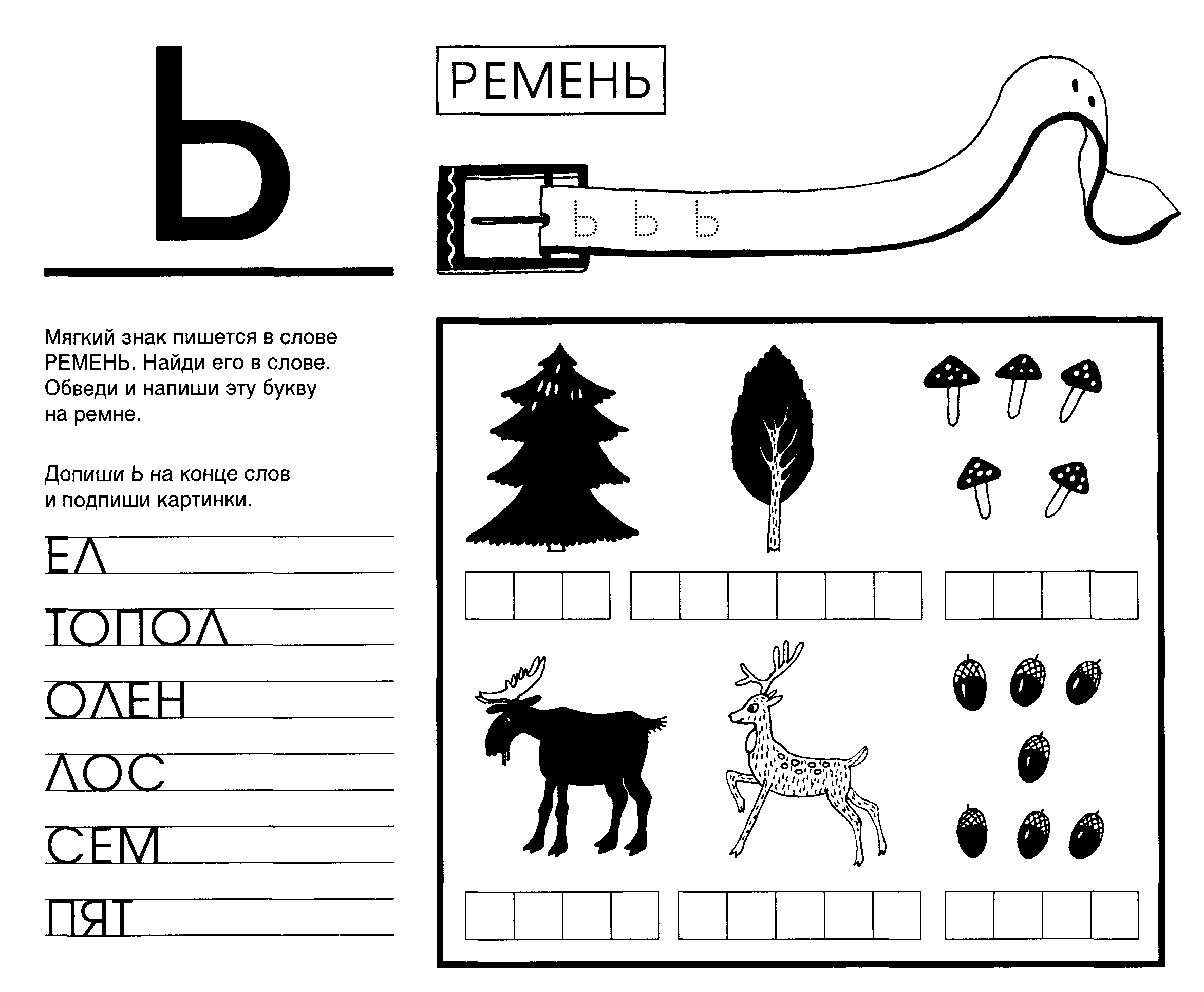 Картинки с буквой ь