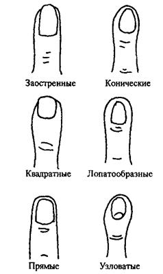 Ковид пальцы. Коническая форма пальцев. Форма пальцев на руках. Типы форм пальцев. Пальцы лопатообразной формы.