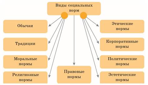 Конспект социального