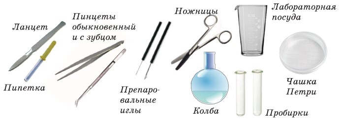 Изображенное на рисунке лабораторное оборудование в биологии используется для нагрева биологического